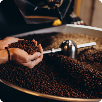 Torréfaction du café